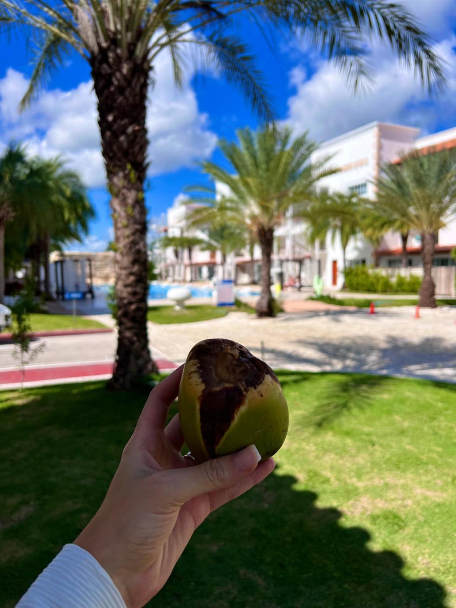 Tanama Hotel Punta Cana Eksteriør billede